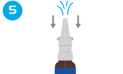 nasal-spray-step-5