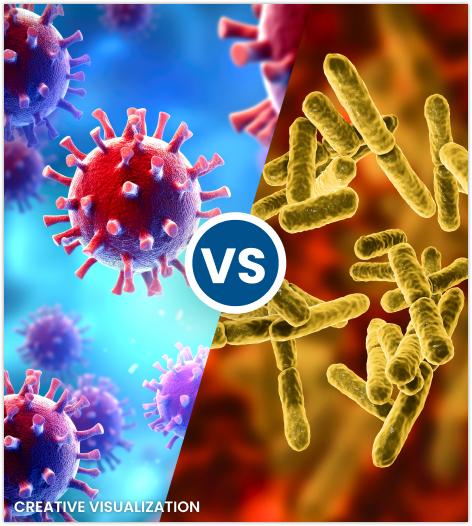 Graphic rendition of viruses versus bacteria