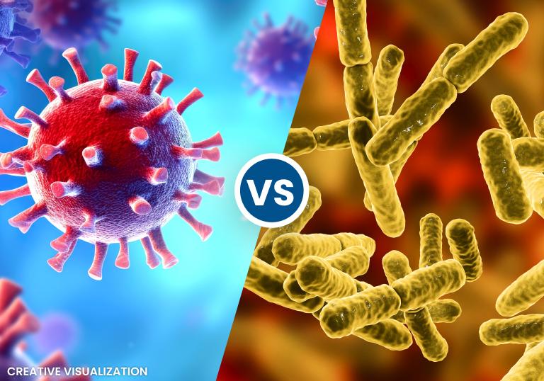 Creative visualization of viruses versus bacteria